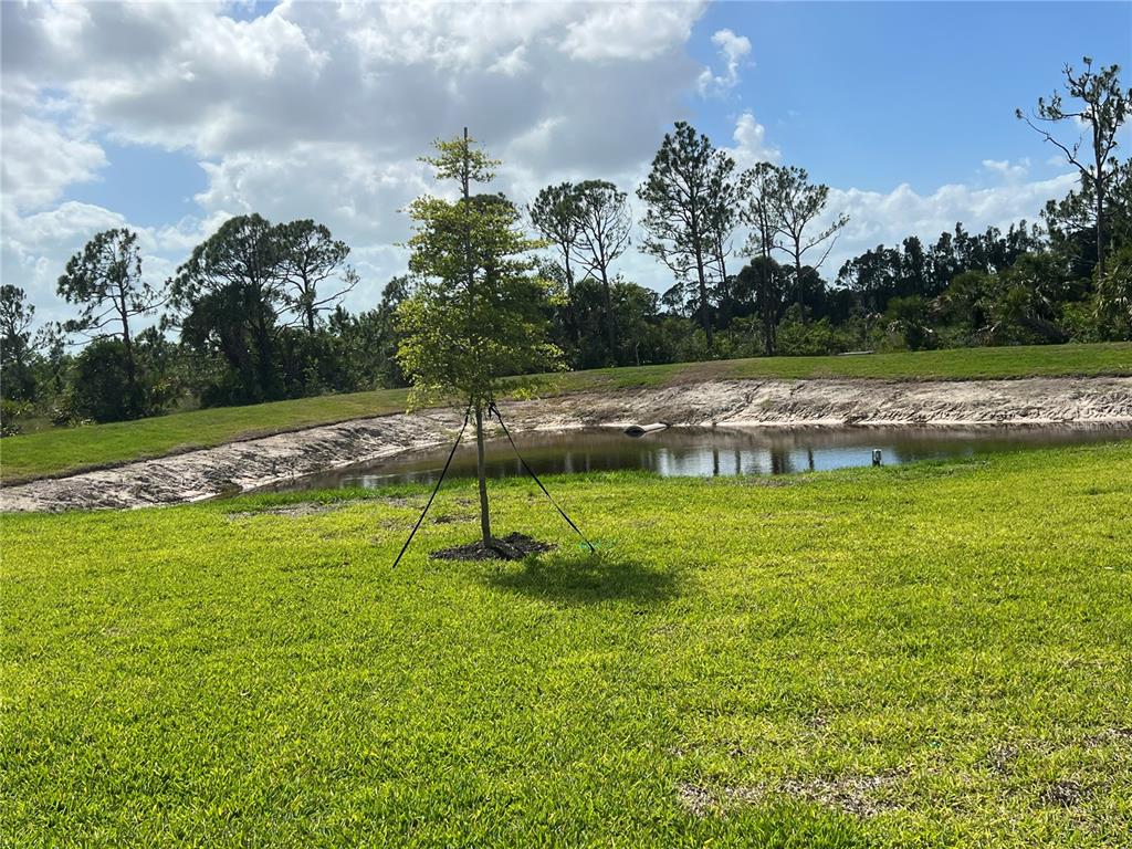 17535 Jadestone Court Venice, FL 34293 - Photo 55 of 92 a swimming pool with lots of tress in the background