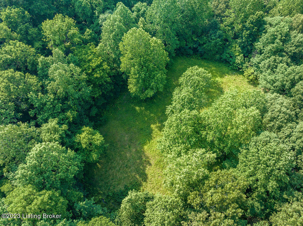 2328 Fisher Ridge Road Horse Cave, KY 42749 - Photo 10 of 15 DJI_0299