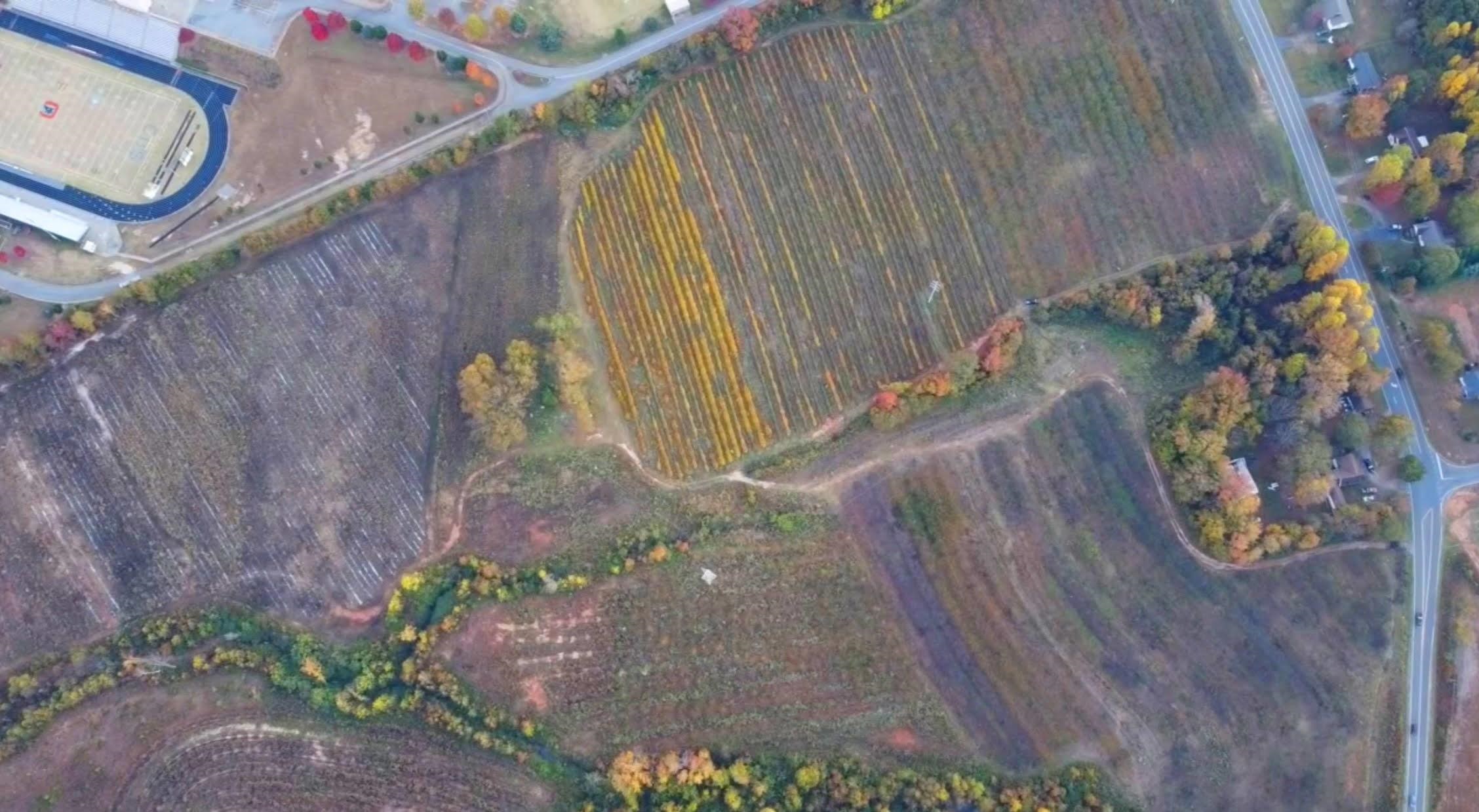 1550 Compton Bridge Road Inman, SC 29349 - Photo 2 of 11