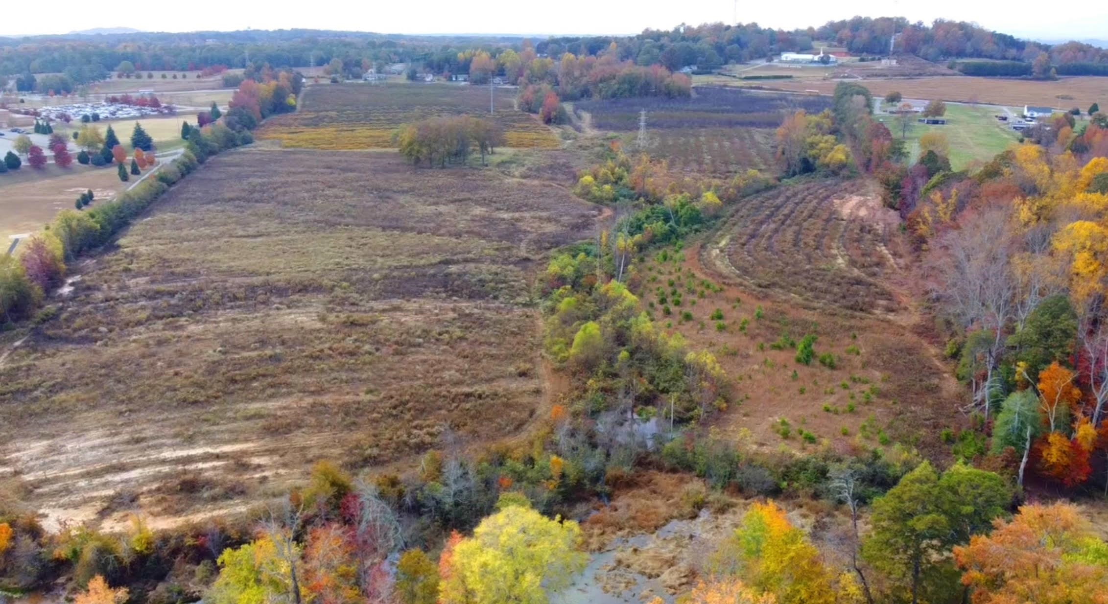 1550 Compton Bridge Road Inman, SC 29349 - Photo 3 of 11