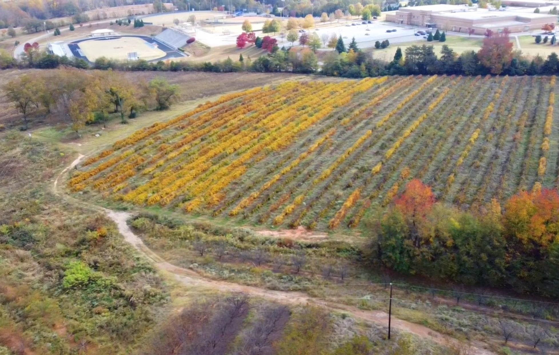 1550 Compton Bridge Road Inman, SC 29349 - Photo 4 of 11