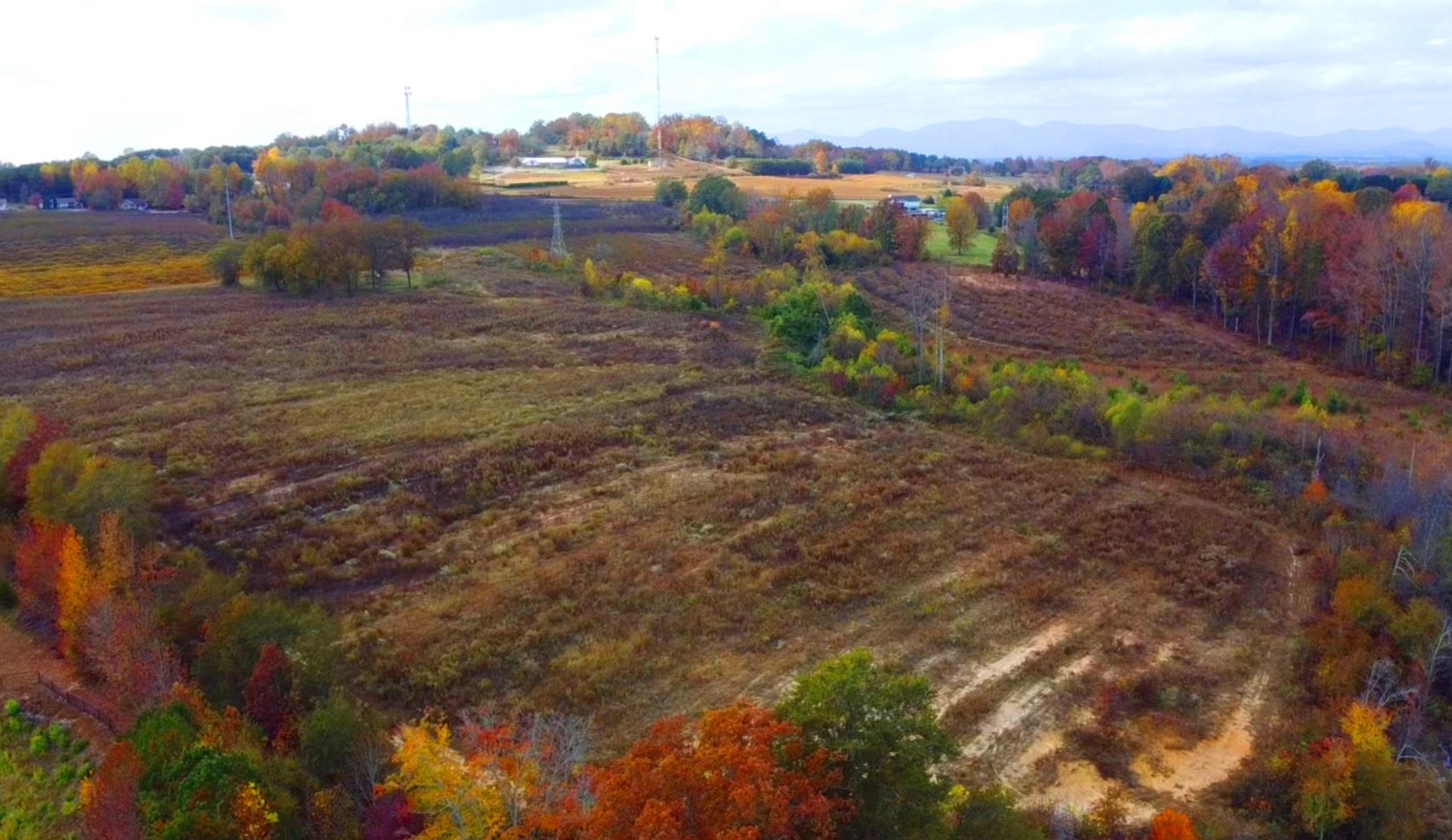 1550 Compton Bridge Road Inman, SC 29349 - Photo 5 of 11