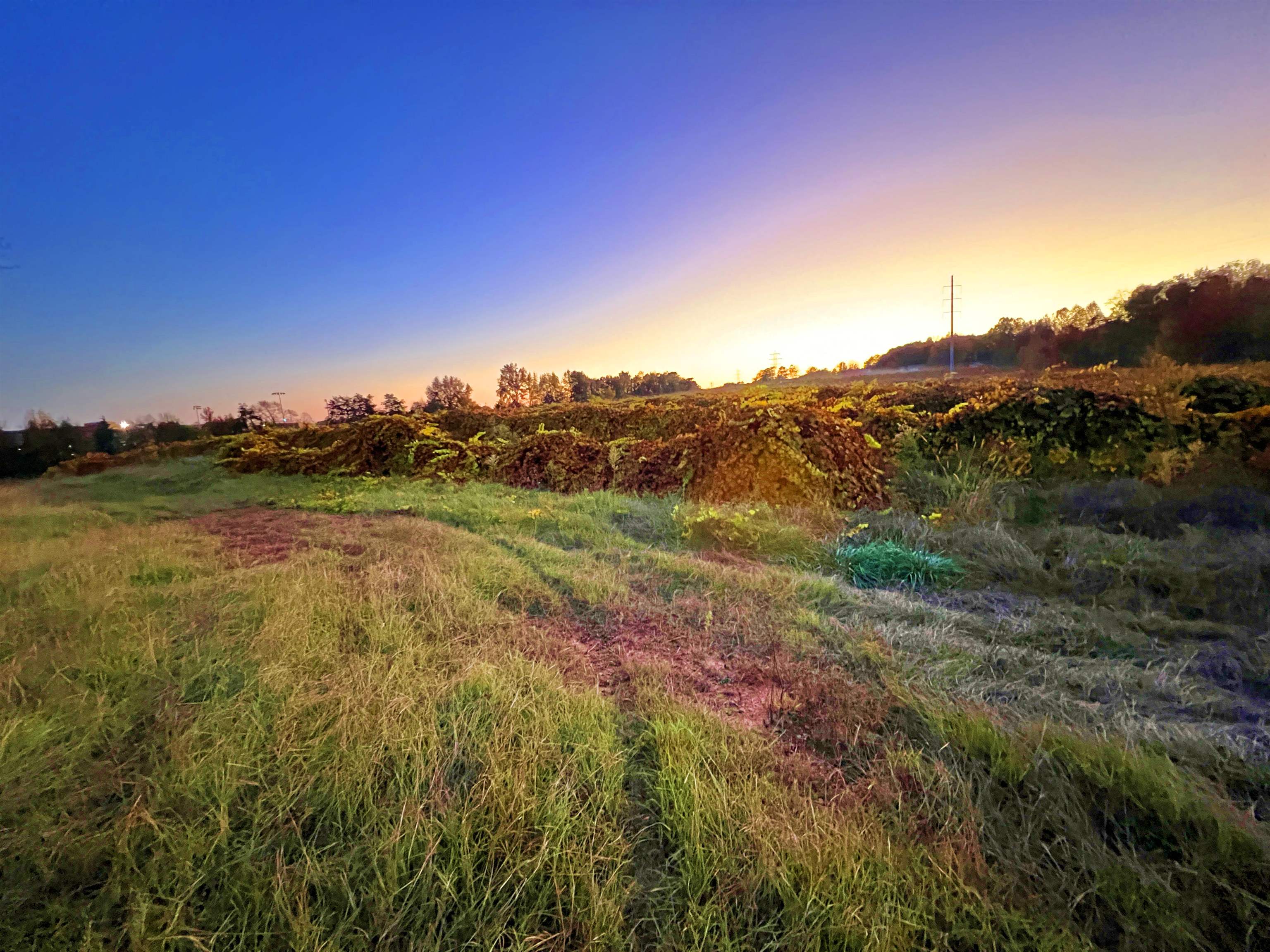 1550 Compton Bridge Road Inman, SC 29349 - Photo 6 of 11