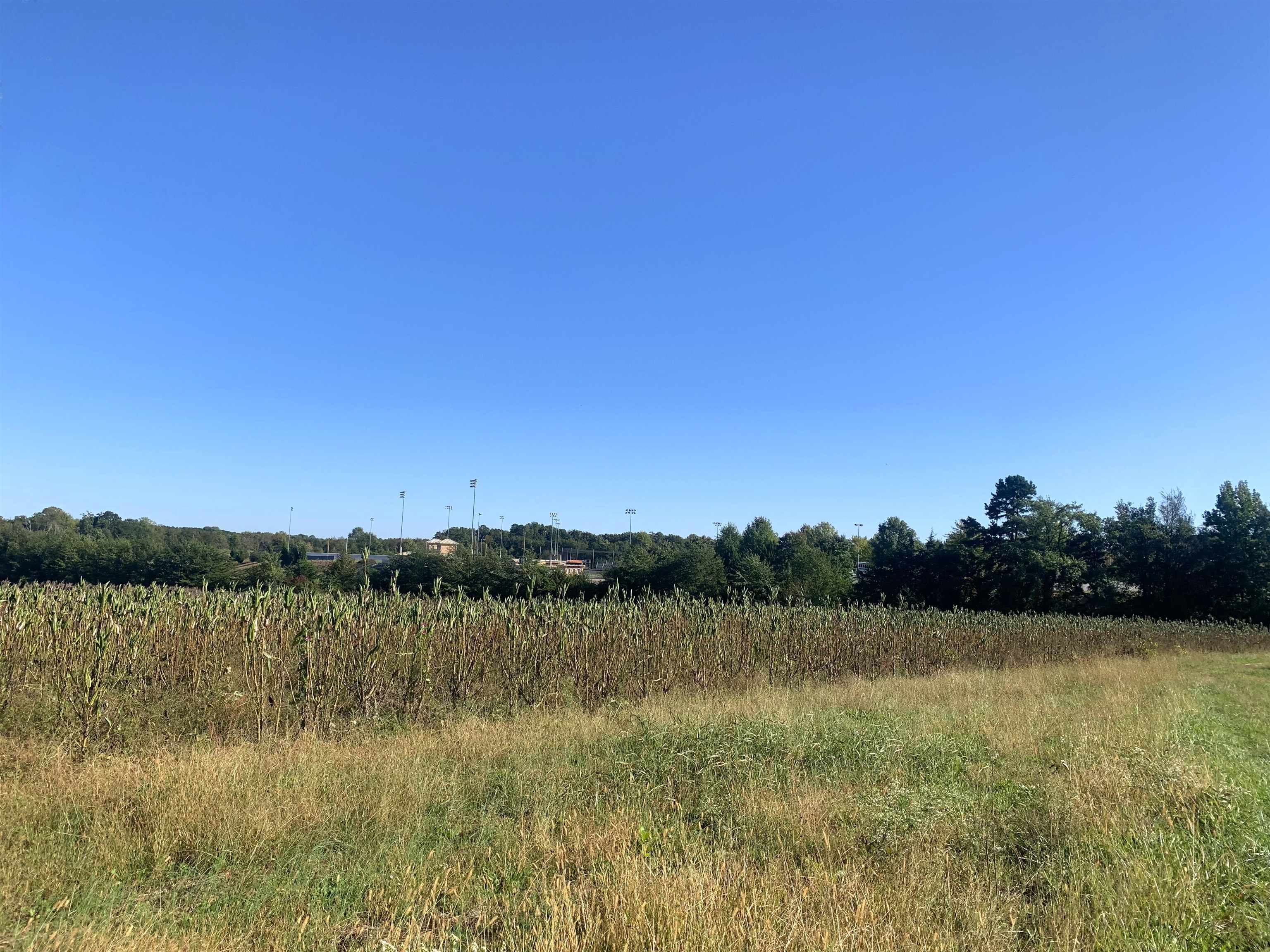 1550 Compton Bridge Road Inman, SC 29349 - Photo 8 of 11