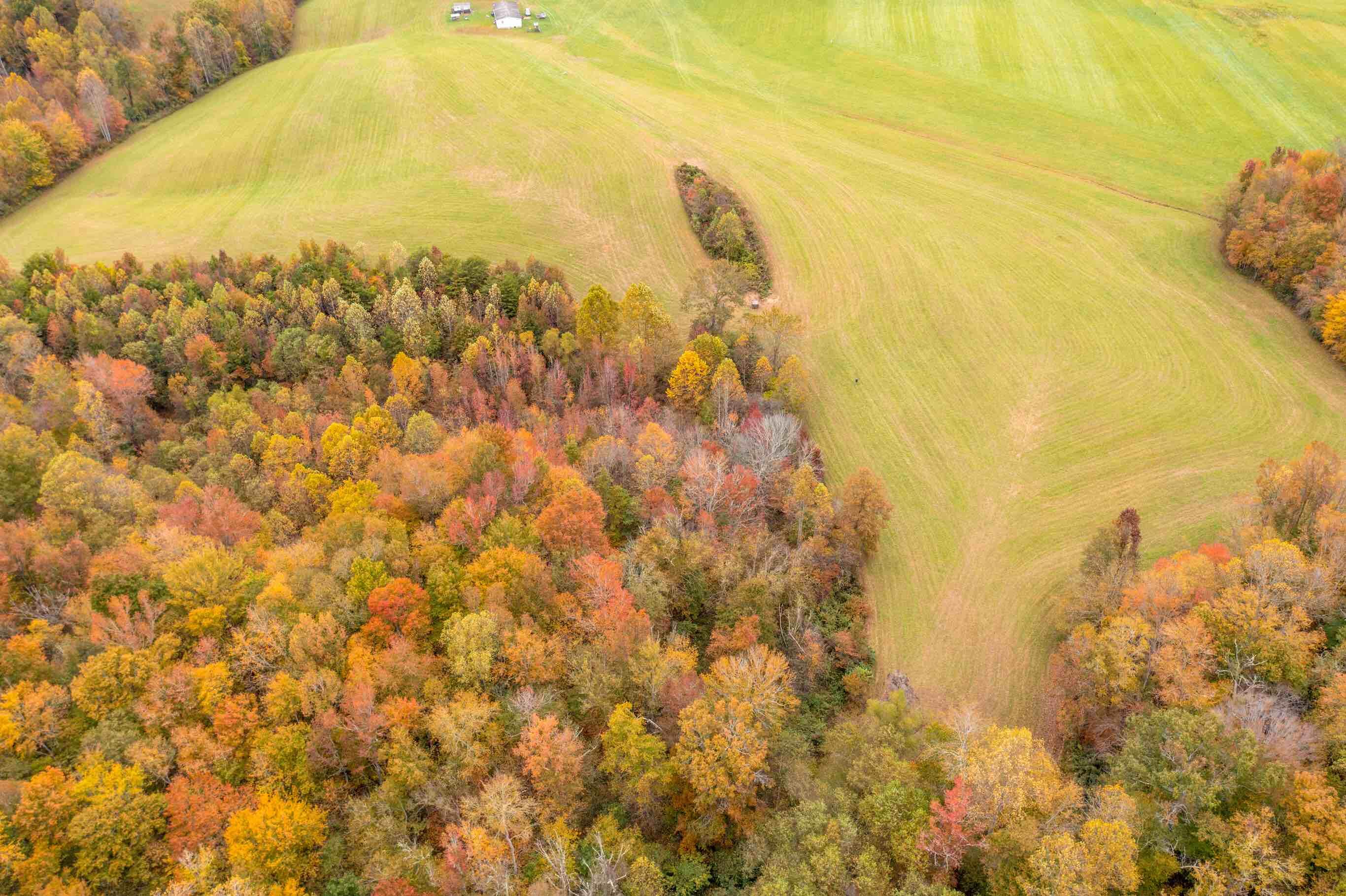 0 Blackwater Road London, KY 40744 - Photo 20 of 22 043