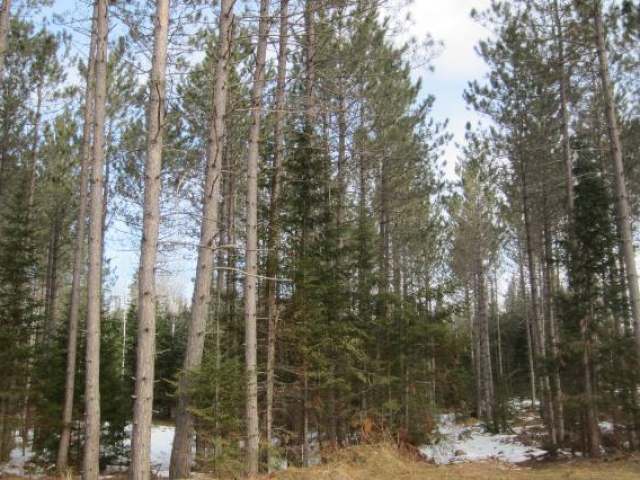 4119 Weber Lake Road Mercer, WI 54547 - Photo 5 of 14 Gallery Image 5