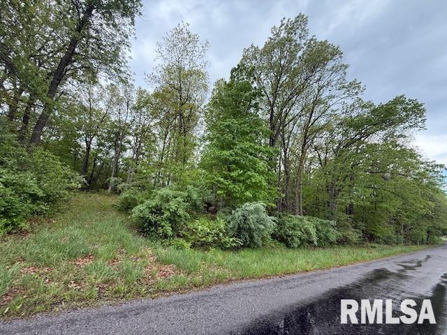 Tbd Country Club Road Marion, IL 62959 - Photo 3 of 8