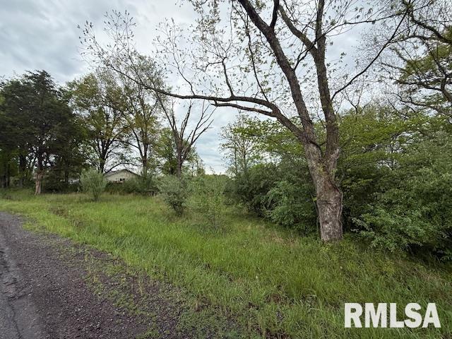 Tbd Country Club Road Marion, IL 62959 - Photo 4 of 8