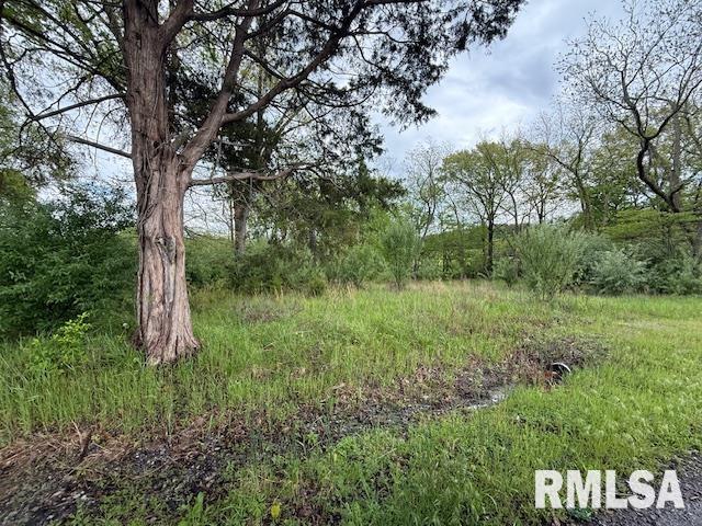 Tbd Country Club Road Marion, IL 62959 - Photo 6 of 8