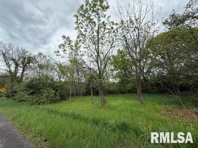 Tbd Country Club Road Marion, IL 62959 - Photo 7 of 8