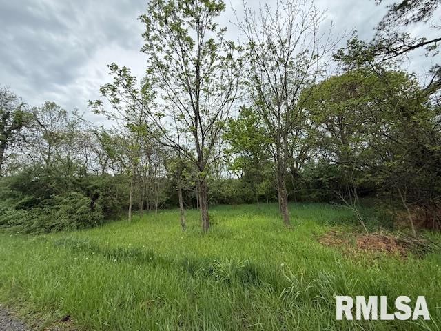 Tbd Country Club Road Marion, IL 62959 - Photo 8 of 8