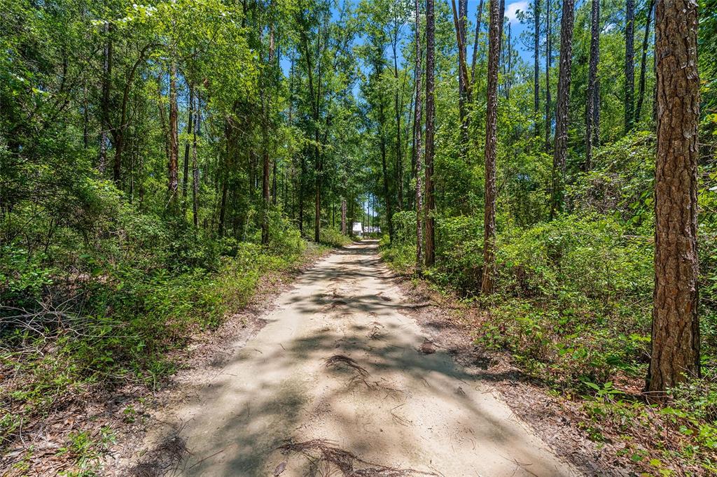 357 Southwest Conestoga Way Fort White, FL 32038 - Photo 49 of 52