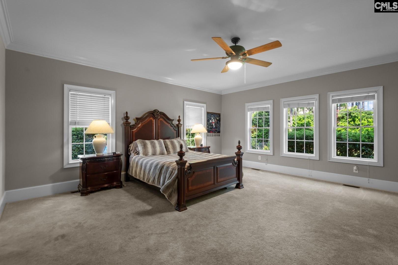 115 Pointe Overlook Drive Chapin, SC 29036 - Photo 19 of 45