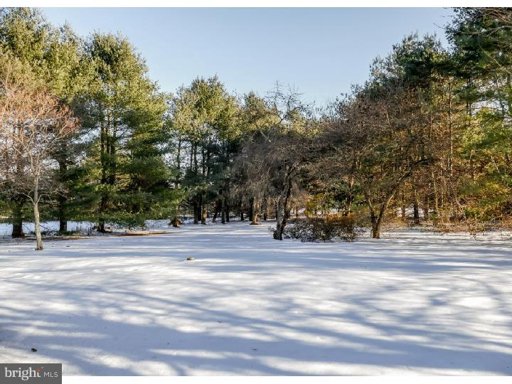 4455 Jenny Road Doylestown, PA 18902 - Photo 25 of 25