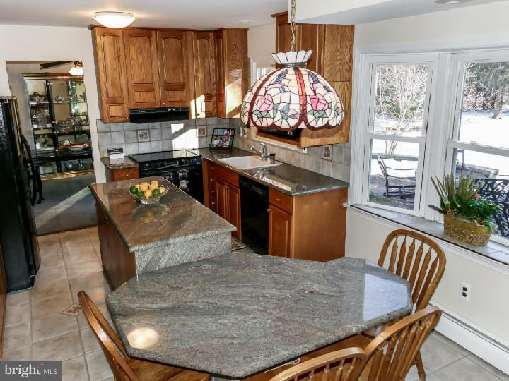 4455 Jenny Road Doylestown, PA 18902 - Photo 4 of 25