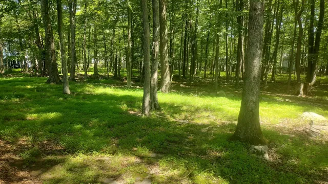 a bathroom with a toilet and sink