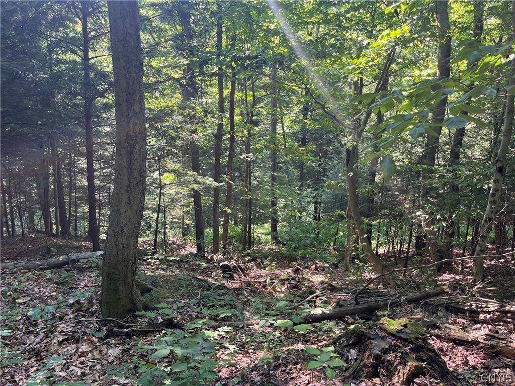 Center Road Lacona, NY 13083 - Photo 6 of 38