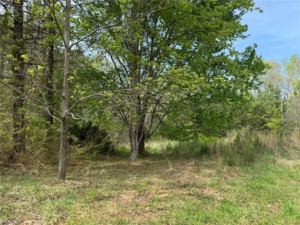 6988 Salem Chapel Road Walnut Cove, NC 27052 - Photo 5 of 38