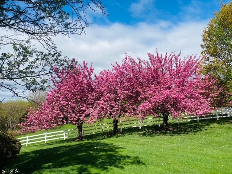 2 Fieldcrest Road Chester, NJ 07930 - Photo 47 of 47