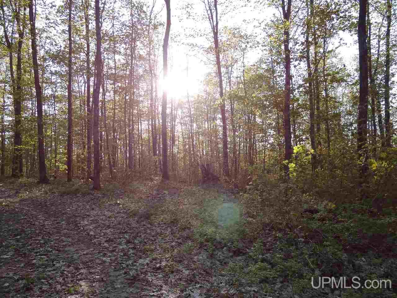 Tbd Off Coles Creek Road, Unit PARCEL 12 Hancock, MI 49931 - Photo 11 of 15