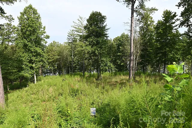 $1,349,000 | 2199 Castle Peak Mountain, Unit 140, Connelly Springs, NC 28612