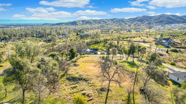 a view of a yard with large trees