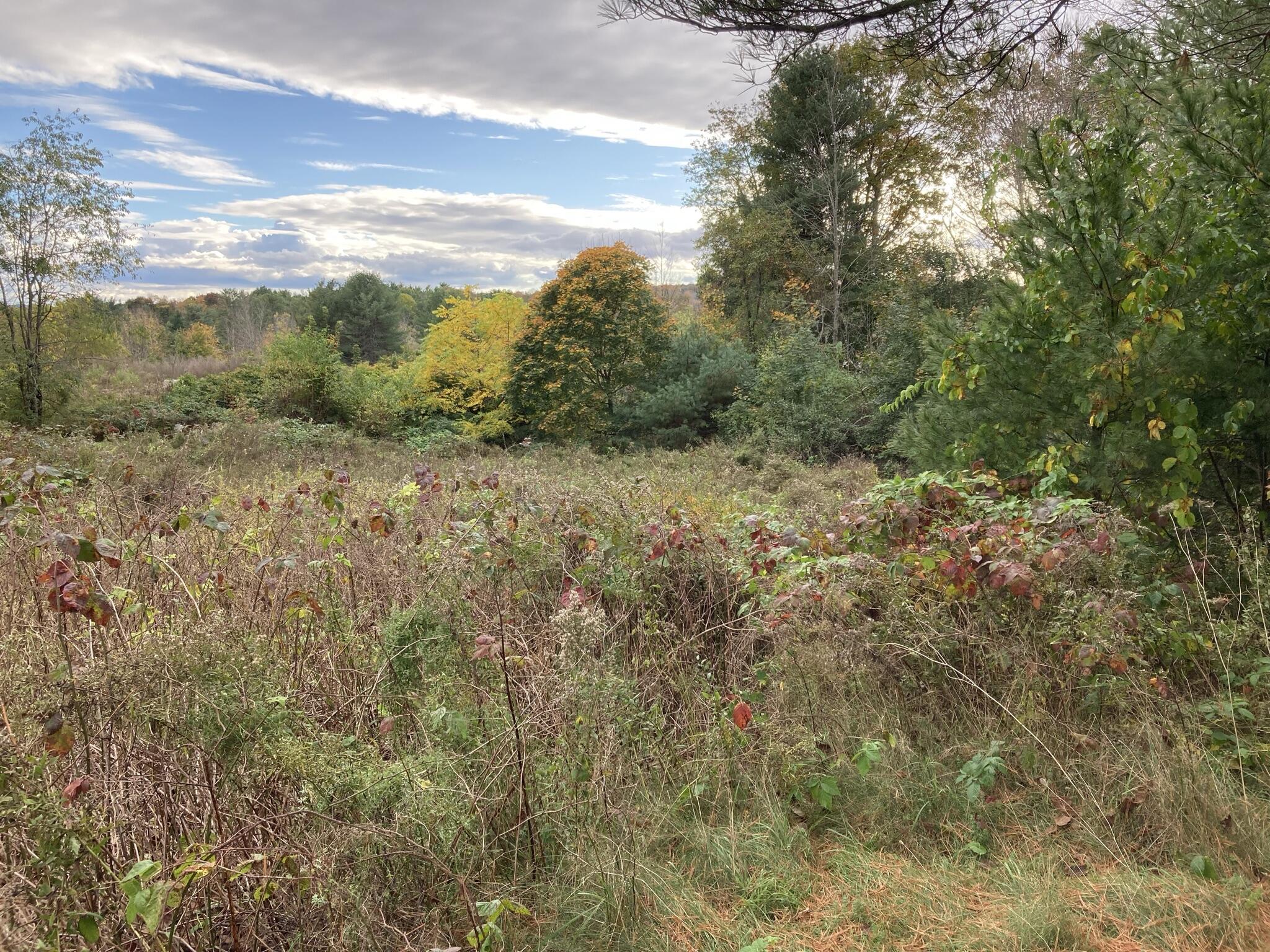 26 Patterson Hill Road Belfast, ME 04915 - Photo 5 of 14 wiid meadow