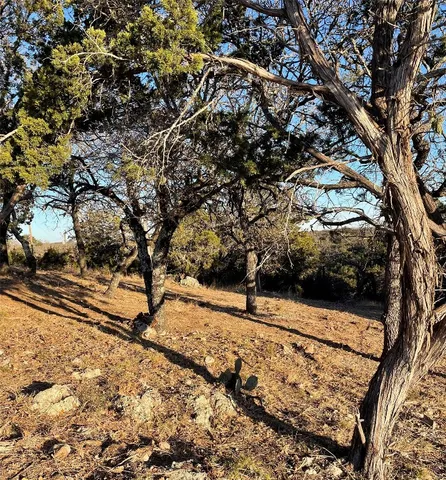 a view of a yard with wooden fence