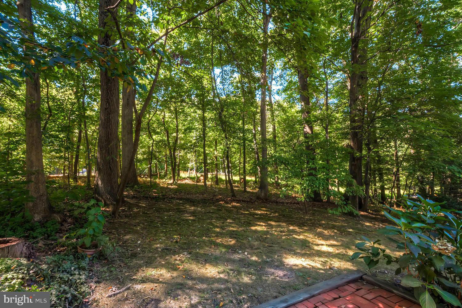 731 Chapel Ridge Road Lutherville-Timonium, MD 21093 - Photo 7 of 30 Exterior (Rear)
