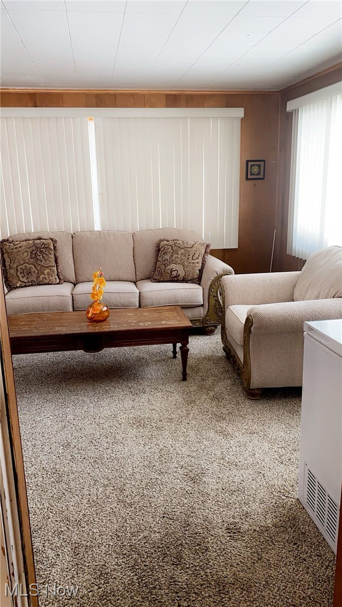 15657 Fenemore Road Cleveland, OH 44112 - Photo 7 of 26 Living room featuring carpet and wooden walls