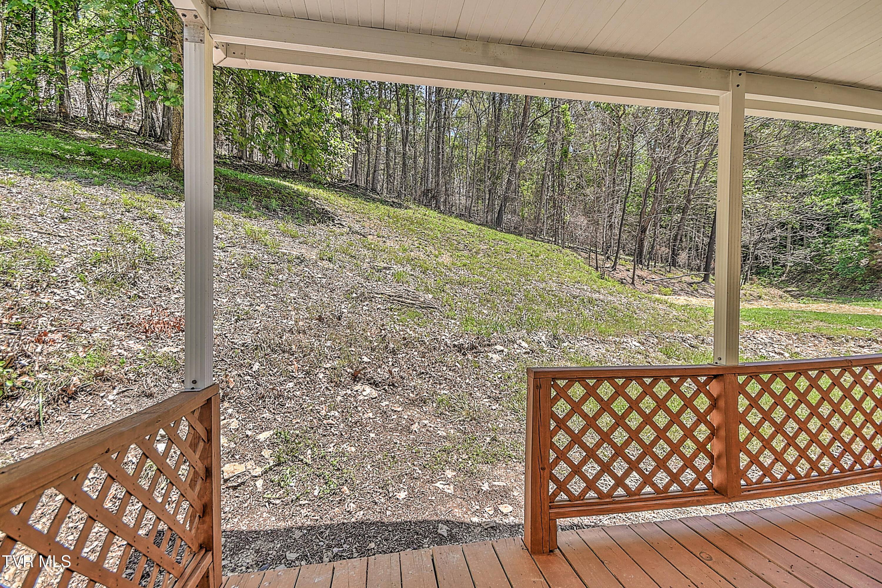 384 Johnson Hollow Road Blountville, TN 37617 - Photo 31 of 42 384 Johnson Hollow GUnit-24
