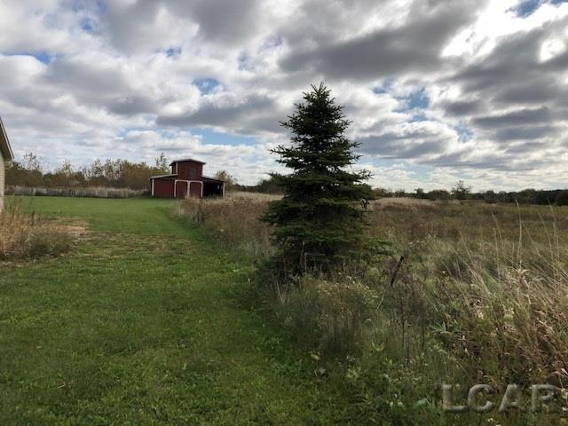 5700 Petersburg Road Dundee, MI 48131 - Photo 8 of 26