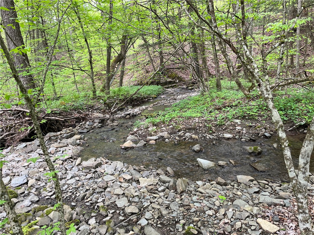 Gay Hollow Road East Spencer, NY 14883 - Photo 11 of 50