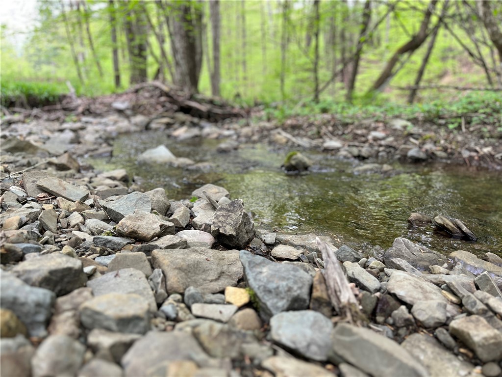 Gay Hollow Road East Spencer, NY 14883 - Photo 12 of 50