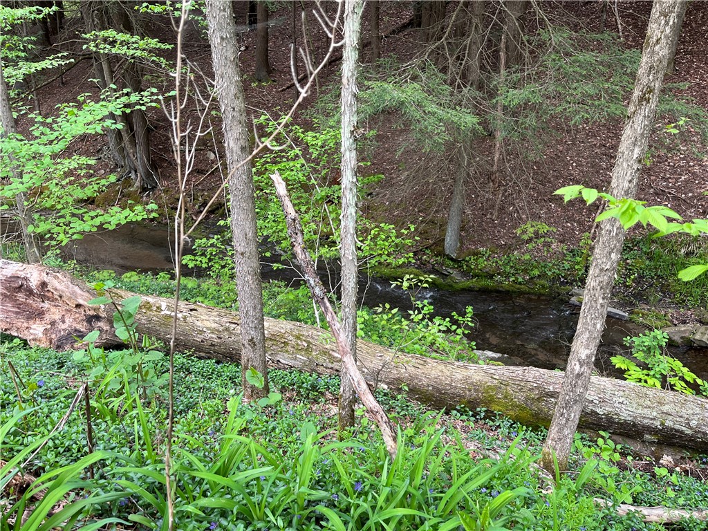 Gay Hollow Road East Spencer, NY 14883 - Photo 13 of 50