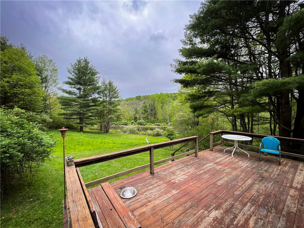 Gay Hollow Road East Spencer, NY 14883 - Photo 15 of 50