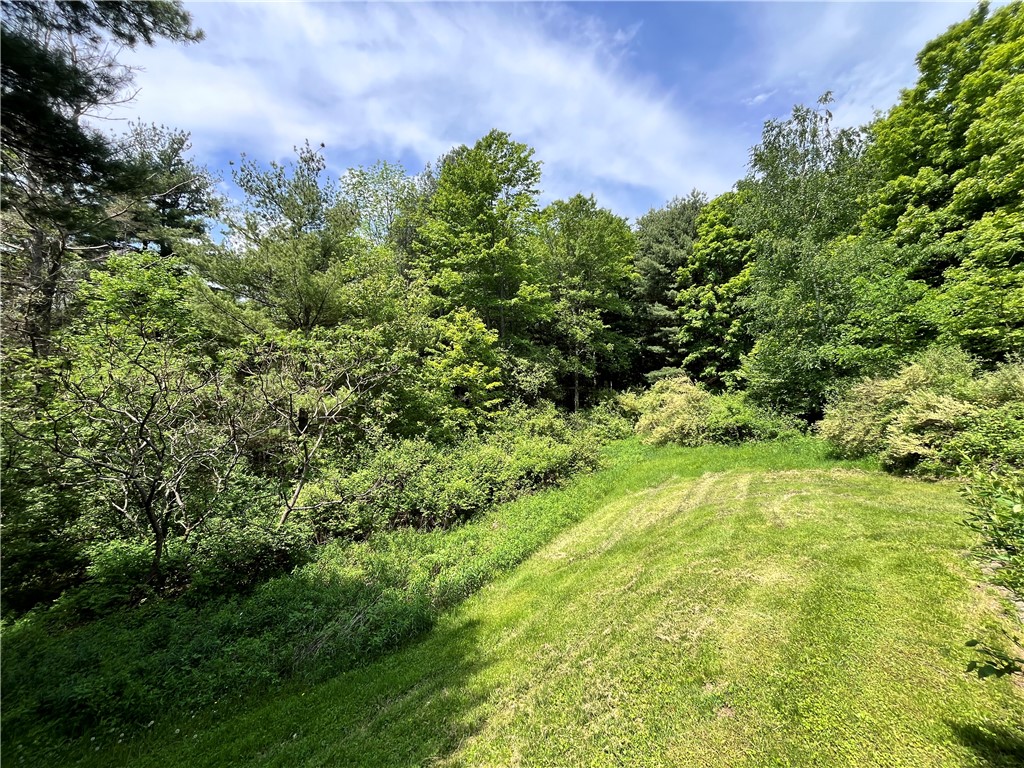 Gay Hollow Road East Spencer, NY 14883 - Photo 25 of 50