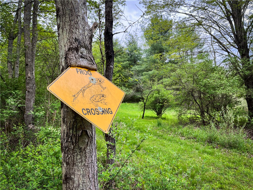 Gay Hollow Road East Spencer, NY 14883 - Photo 26 of 50