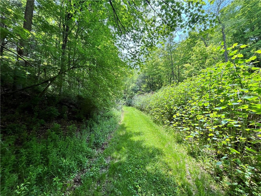 Gay Hollow Road East Spencer, NY 14883 - Photo 27 of 50