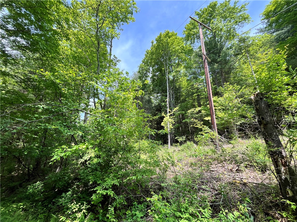 Gay Hollow Road East Spencer, NY 14883 - Photo 28 of 50
