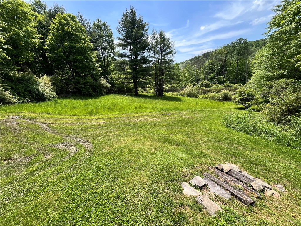 Gay Hollow Road East Spencer, NY 14883 - Photo 29 of 50