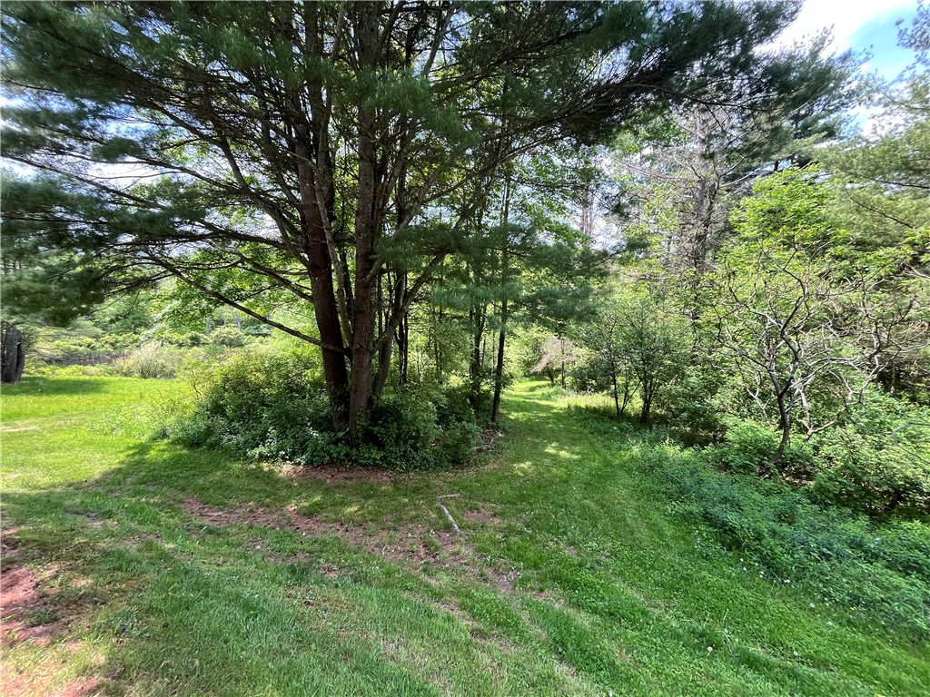 Gay Hollow Road East Spencer, NY 14883 - Photo 30 of 50