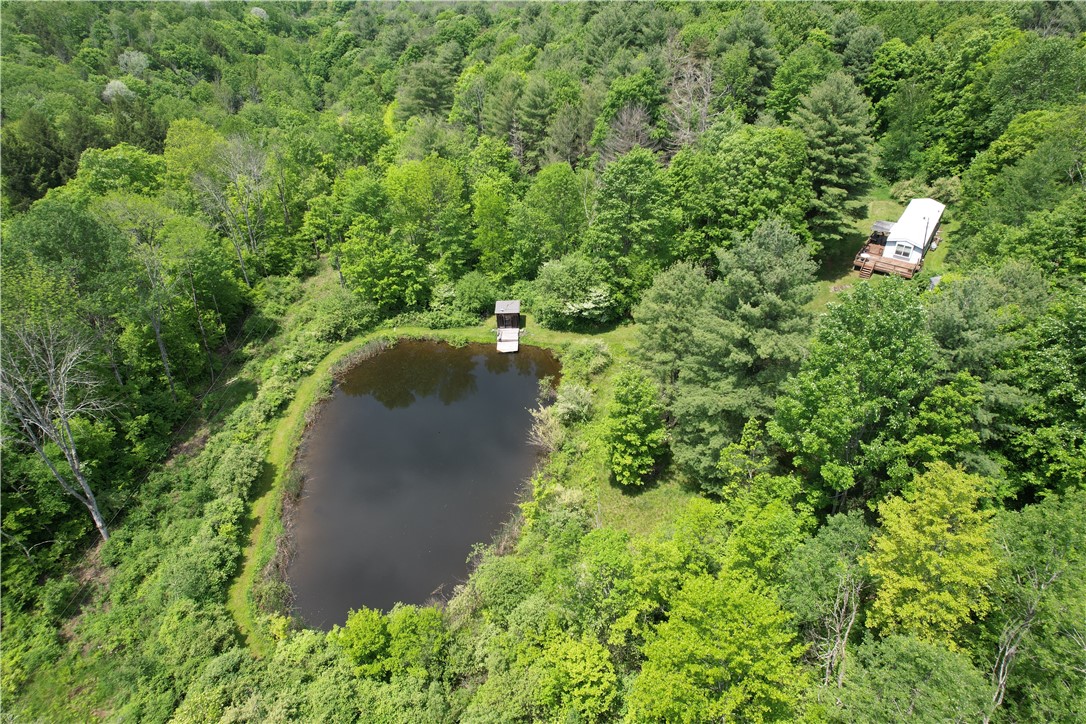 Gay Hollow Road East Spencer, NY 14883 - Photo 3 of 50