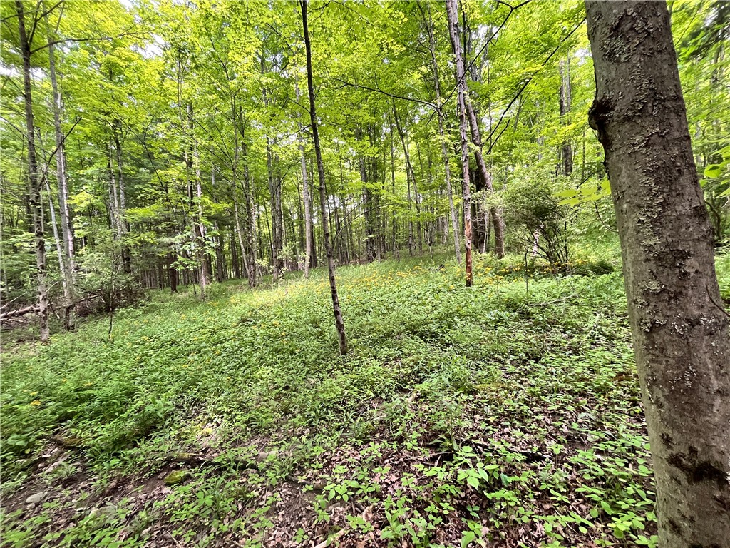 Gay Hollow Road East Spencer, NY 14883 - Photo 31 of 50