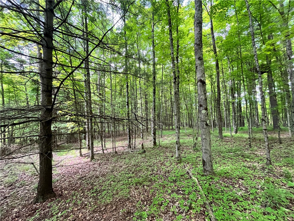 Gay Hollow Road East Spencer, NY 14883 - Photo 32 of 50
