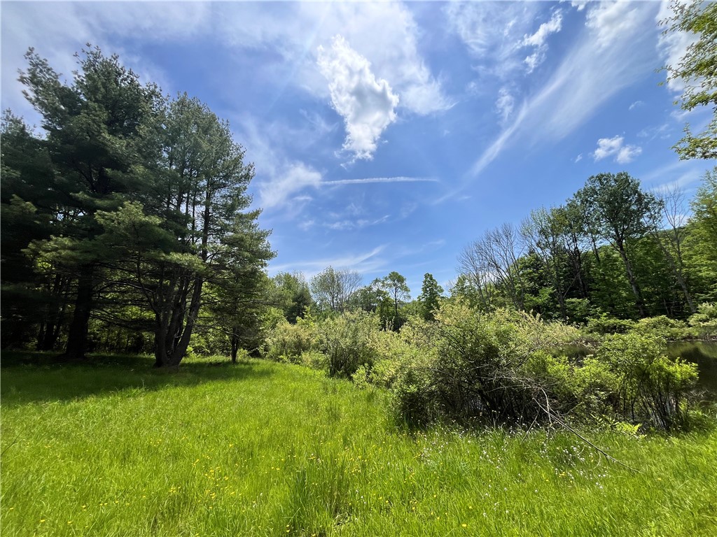 Gay Hollow Road East Spencer, NY 14883 - Photo 34 of 50