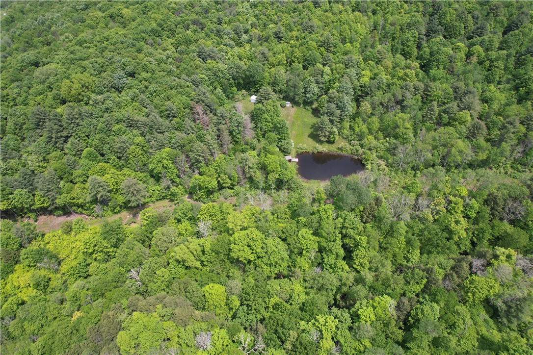 Gay Hollow Road East Spencer, NY 14883 - Photo 35 of 50