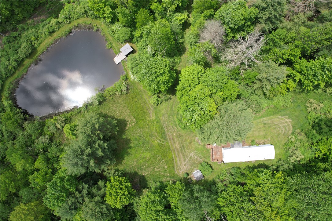 Gay Hollow Road East Spencer, NY 14883 - Photo 36 of 50