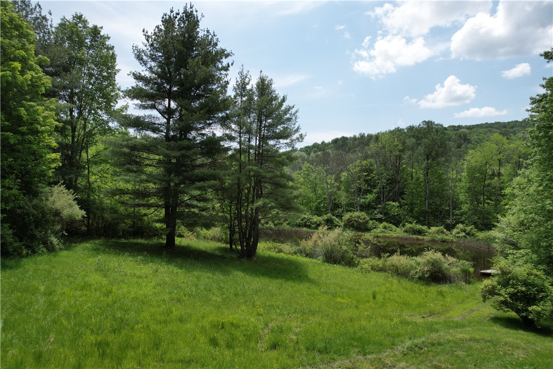 Gay Hollow Road East Spencer, NY 14883 - Photo 38 of 50