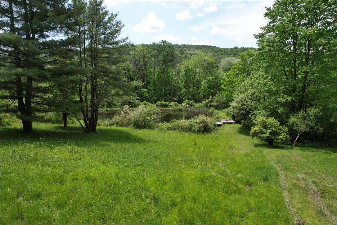Gay Hollow Road East Spencer, NY 14883 - Photo 39 of 50